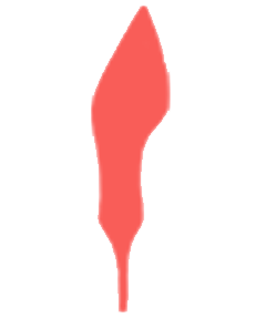 Logo XT - The Footwear Designer
